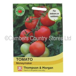 Thompson & Morgan Tomato Moneymaker